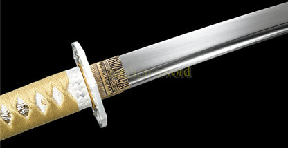 9260 Federstahl Iaito Katana Japanisches Übungsschwert Ungeschärfte, stumpfe Klinge, Full Tang 