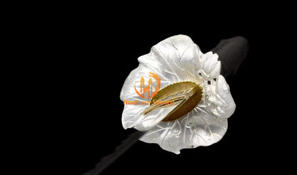 Katana à lame bleue en acier à haute teneur en carbone 1095, épée de samouraï japonais, épée complète noire 