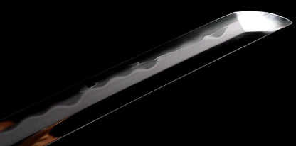 Sanmai (Folded steel+high carbon steel)